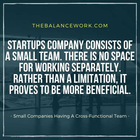 Small Companies Having A Cross-Functional Team
