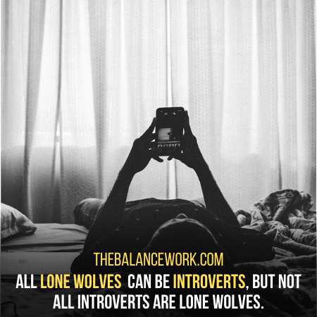 Lone Wolf Personality
