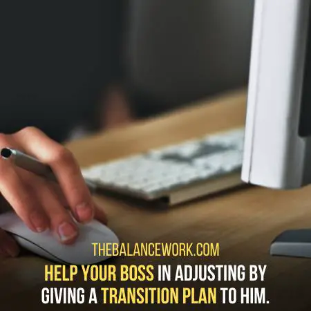 Present A Transition Plan To Your Boss To Help Him