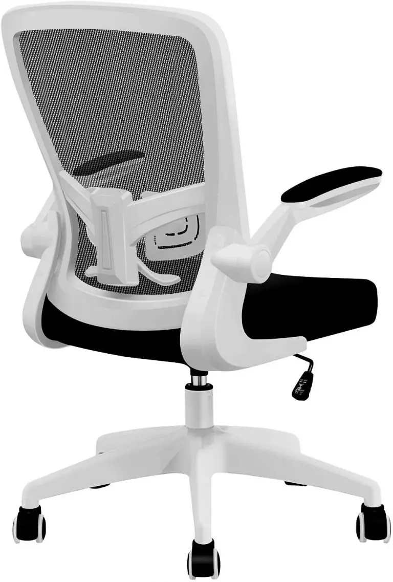 8 Best Office Chairs For Back Pain Under 200 In 2021 TBW