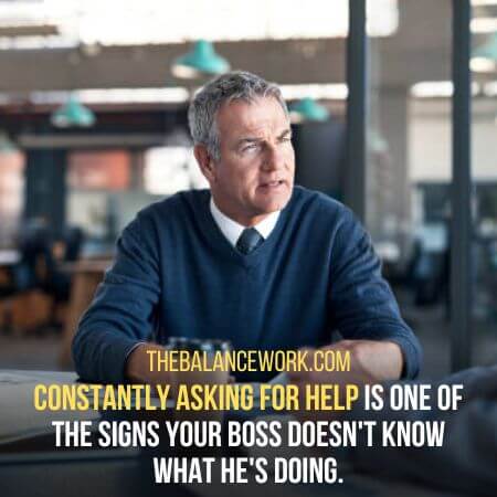 Constantly asking for help  - Signs Your Boss Doesn't Know What He's Doing