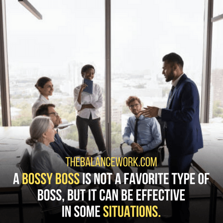 Bossy boss - What Type Of Boss Do You Prefer
