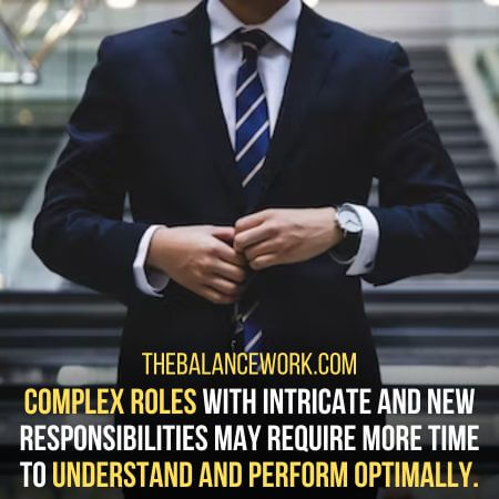 Complex roles - How long do you give a new job a chance